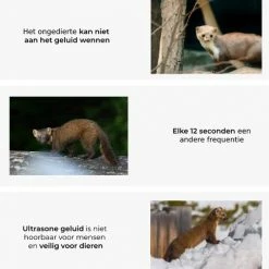 RV Solutions Marterverjager All-in-1 Pakket - Inclusief Batterijen - Netstroom & Auto Accu - Marters, Muizen & Ratten, Steenmarter Verjager -70Mai SHOP 550x485