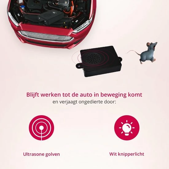 Carsa Marterverjager Auto 12V - Muizenverjager - Ongedierte Verjager Met Ultrasone - Steenmarter Verjager 8 Carsa Marterverjager Auto 12V - Muizenverjager - Ongedierte Verjager Met Ultrasone - Steenmarter Verjager - Image 6