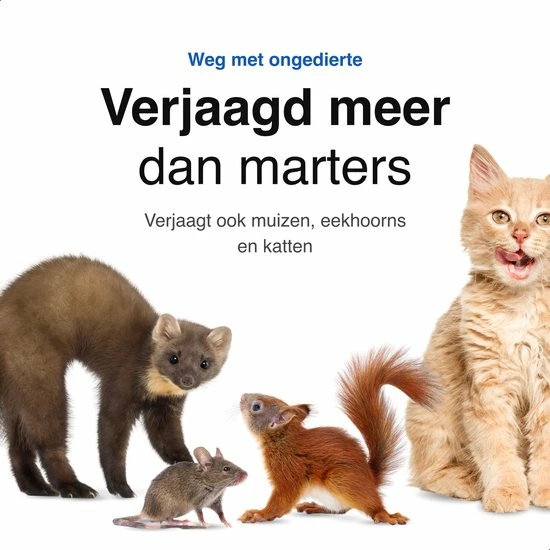 Vivid Green Marterverjager Set Voor In Auto - Ongedierte - Steenmarter Verjager -Steenmarter - Binnen & Buiten - Zwart 6 Vivid Green Marterverjager Set Voor In Auto - Ongedierte - Steenmarter Verjager -Steenmarter - Binnen & Buiten - Zwart - Image 4